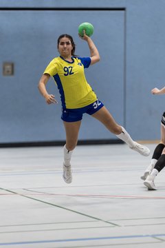 Bild 186 - F HSG Pinnau2 - Rellinger TV2 : Ergebnis: 27:20